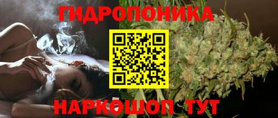 гидра Чебоксары