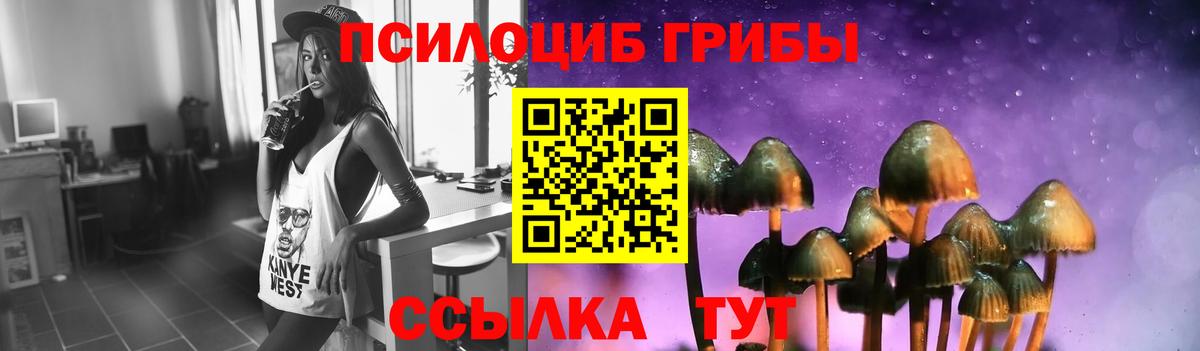 Галлюциногенные грибы MAGIC MUSHROOMS Нововоронеж