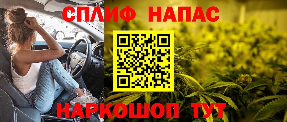 Канабис конопля Нововоронеж