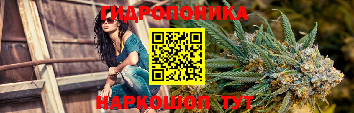 Нововоронеж  Канабис сатива  Бошки Шишки THC 21%  Вход с VPN  Марихуана Ganja 